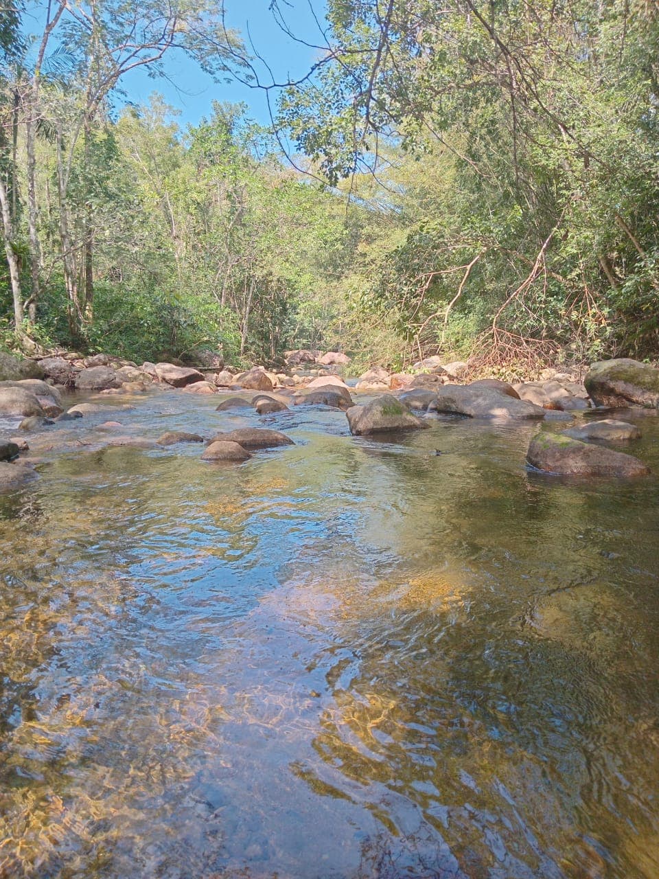 Rio largo com pedras e céu azul entre as árvores