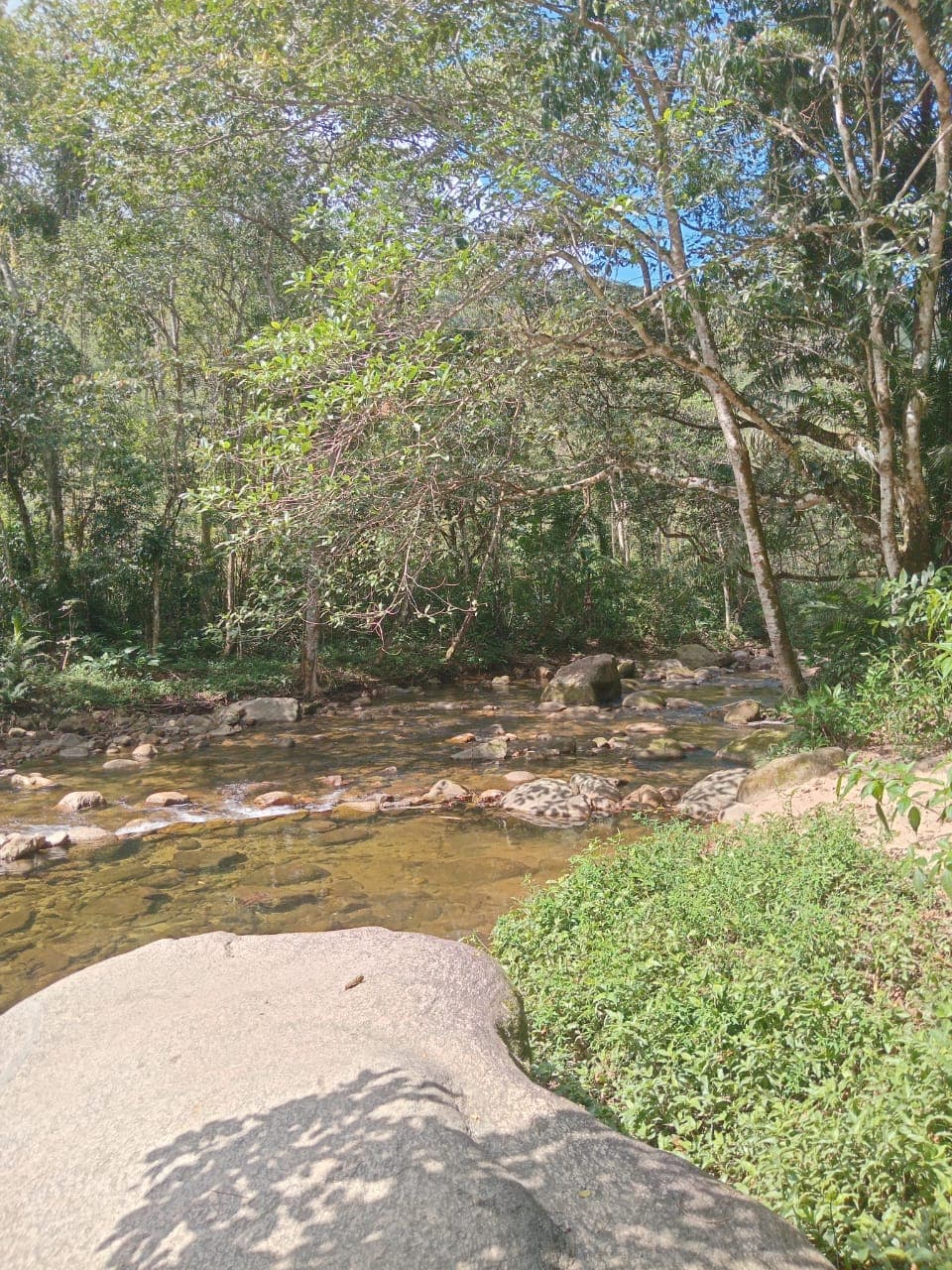 Rio de pedras grandes na mata, água corrente