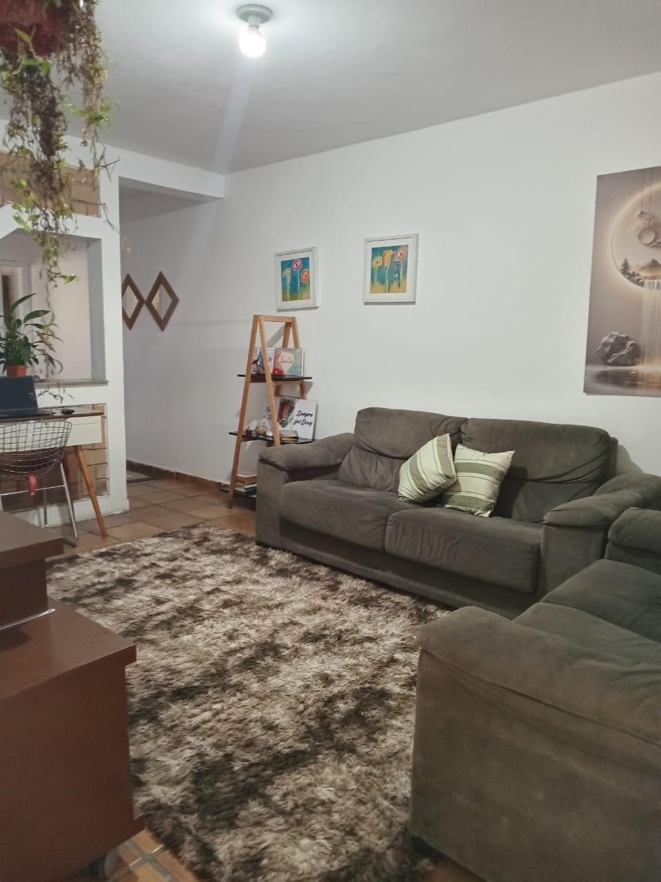 Sala de estar com sofá marrom, tapete felpudo, quadros e plantas